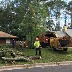 Full service tree and lawn company specialize in hazardous tree removal