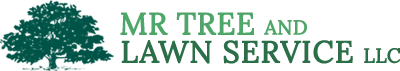 mr tree and lawn service llc logo